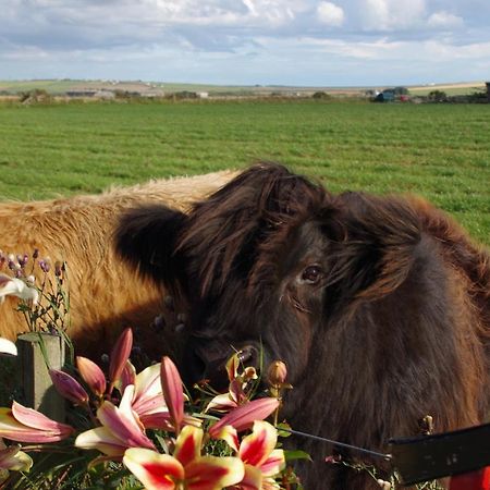 Bed and Breakfast Carrig Lios Thurso Esterno foto