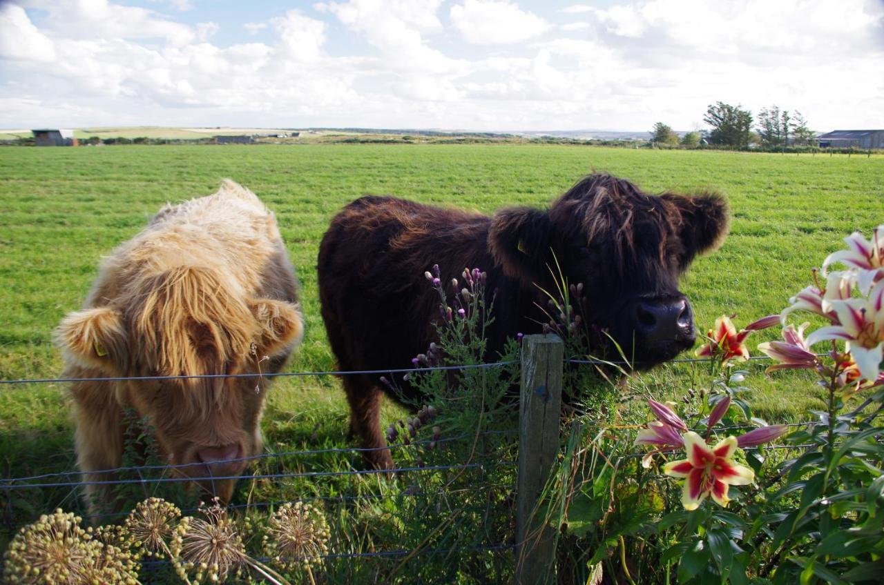 Bed and Breakfast Carrig Lios Thurso Esterno foto