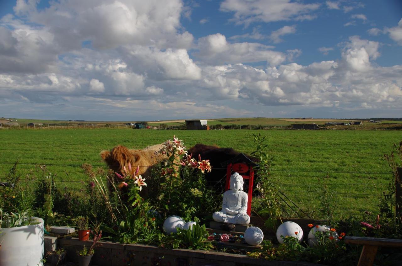 Bed and Breakfast Carrig Lios Thurso Esterno foto